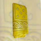 Bandanas, assorted colours
